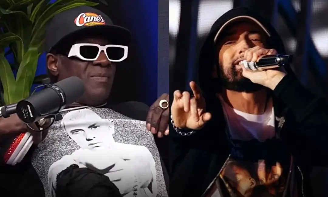 flavor-flav-eminem